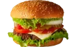 Cheese Burst Burger